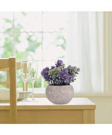Ciieeo 2pcs Simulated Green Bonsai Artificial Succulents Plants Miniture Decoration Artificial Cactus Small Succulent Plants Silk Plants Greenery Decor Accessories Office Foam Nordic - Buy Online on GoSupps.com