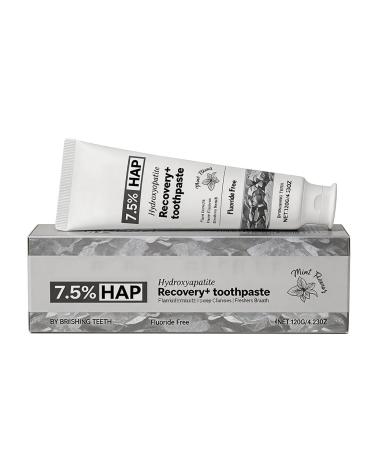 Dentifrice la Menthe Poivr e Exp rience Buccale Rafra chissante Haleine Fra che Longue Dur e R duit L'accumulation de Plaque Dentaire Convient for Une Utilisation Matin et Soir(2pcs)