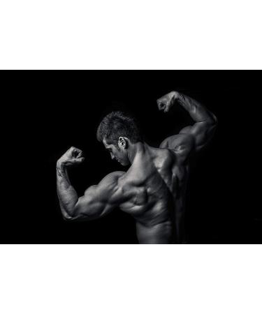 Holaxen Amostrax 240 Capsules - Testo Booster for Muscle Building & Pre-Workout Energy | Best International Shipping - Buy Online on GoSupps.com