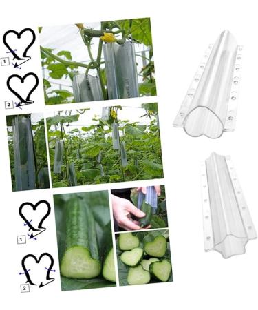 Mipcase 12 Pcs Shaped Growth Mold Melon Forming Molds Pumpkin Mold Chocolate Mold Heart Shaped Cucumber Vegetable Fruit Silicone Molds Cucumber Shaping Molds Plastic Plant Modeling Child Transparent Colorx6pcs 20x6.5cmx6pcs - Buy Online on GoSupps.com