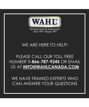 Wahl Canada Dog Oatmeal Shampoo + No Rinse Shampoo for Dogs Shampoo + Shampoo 210ml - Buy Online on GoSupps.com