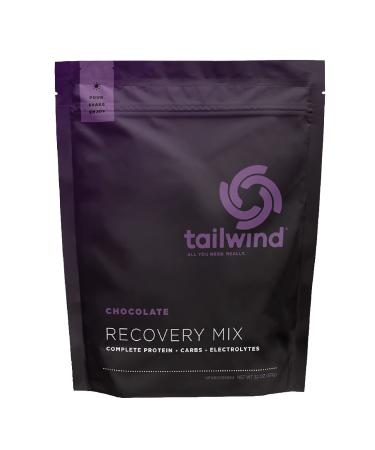 Tailwind Nutrition Rebuild Recovery Drink Mix, Complete Protein with Electrolytes and Carbohydrates, Free of Gluten, Soy, and Dairy, Vegan, 15 Servings, Chocolate Chocolate 2 Pound (Pack of 1)