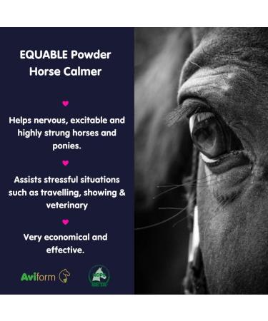 Aviform EQUABLE | Natural Horse Calmer Supplement | 1Kg Compostable Pouch | Relieves Stress and Enhances Focus | Express Delivery Available - Buy Online on GoSupps.com