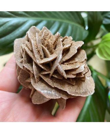 Natural Magic Natural Desert Rose Raw Stone Crystal Home Office Specimen Gift ZJGIDTEM (Size : 210-250g)