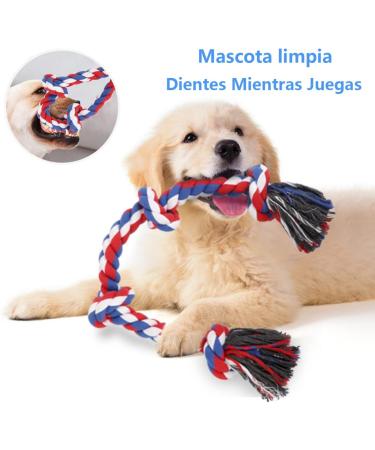 Viewlon Robust Dog Toy Rope - Interactive 75cm Chew Toy for Small/Medium Dogs | Durable 4 Knots | Aggressive Chewing & Dental Cleaning - Blue - Buy Online on GoSupps.com