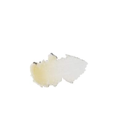 Sun Bum Wild Strawberry Cocobalm | Hydrating Lip Balm with Aloe | Paraben & Silicone Free | 0.15oz Stick - Buy Online on GoSupps.com