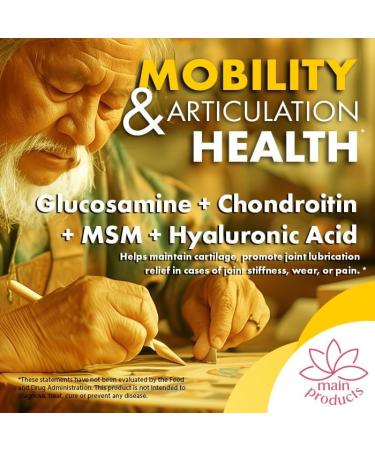 Main Products Glucosamine Chondroitin MSM Hyaluronic Acid Ashwagandha Turmeric Ginger Arnica - Joint Support Supplement Micronized 2430mg 2 Pack - Buy Online on GoSupps.com