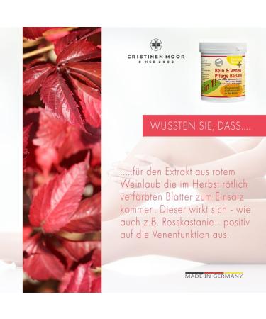 Cristinenmoor 6-in-1 Leg & Venous Care Balm (1000ml) - Relieve Varicose Veins Restless & Heavy Legs Vein Disorders | Shop Now! - Buy Online on GoSupps.com