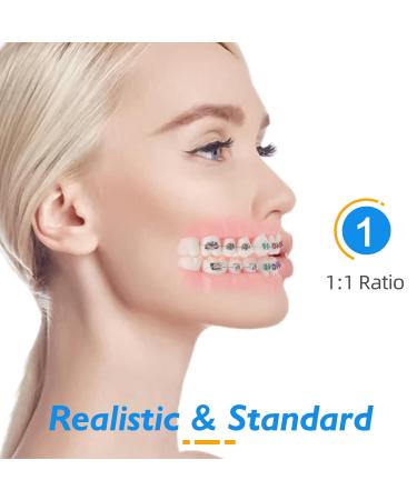 Buy Dental Demonstration Orthodontic Model with Metal Wires & Bracket - Ideal for Teaching Brushing & Flossing Practices - Buy Online on GoSupps.com
