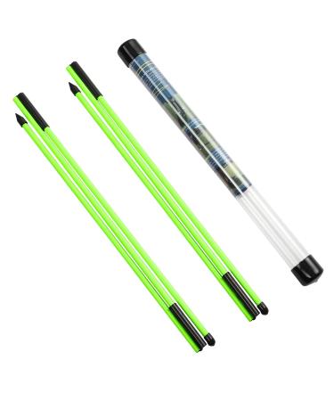 Rhino Valley Golf Alignment Sticks - 2 Pack Collapsible Golf Practice Rods for Aiming, Putting, Full Swing Trainer, Posture Corrector with Clear Tube Case, Portable Golf Training Equipment Green