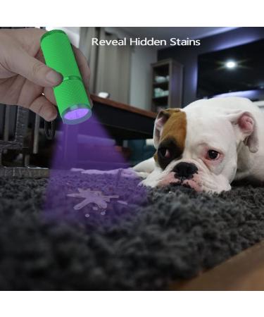 Leagy 2-Pack Mini UV Flashlight - 9 LEDs Pet Urine Detector & More | Ideal for Dogs Cats Fluorescent Agents & Bed Bugs - Free Shipping Worldwide - Buy Online on GoSupps.com