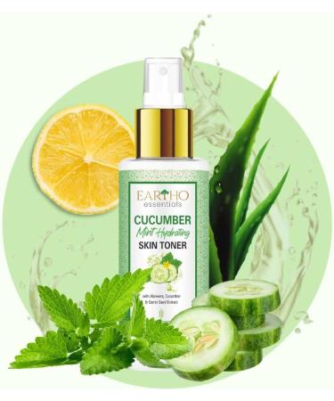 Buy Ayurvedic Cucumber Mint Hydrating Toner - Pore Tightening with Aloe Vera & Carrot Seed Extract | 100ml - International Shipping Available - Buy Online on GoSupps.com