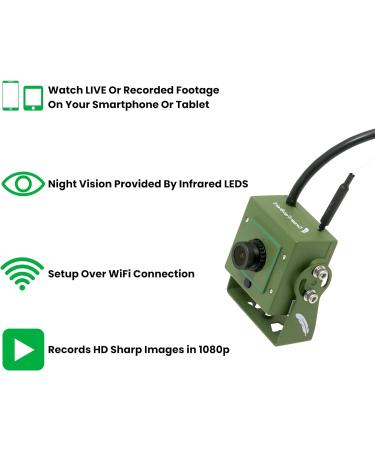 Green Feathers HD WiFi Bird Box Camera 3rd Gen (1080p Wi-Fi Camera & 10m Power Cable) 1 Count (Pack of 1) - Buy Online on GoSupps.com