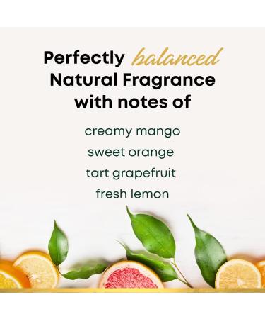 Super Fresh Lady Parts Deodorant - Aluminum Free & Hypoallergenic - Brazilian Mango & Citrus Scent - 4.1oz - Buy Online on GoSupps.com