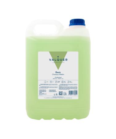 V lquer Laboratories V lquer Professional Melon Shampoo without salt for use by hairdressers Shampoo for professionals 5000 ml