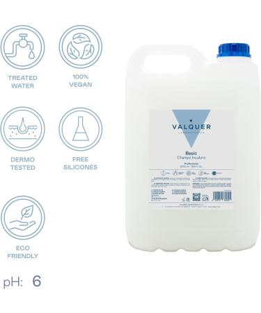 Valquer Professional Special Colorless Shampoo for Hairdressing Professional Shampoo Carafa-5000 ml - Buy Online on GoSupps.com