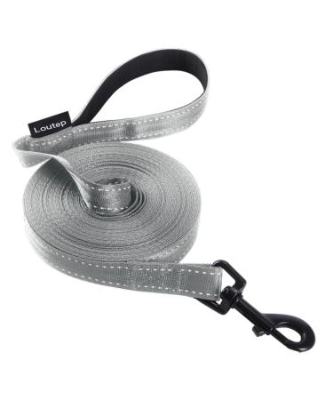Loutep Reflecting training lines for dogs 3 m 5 m 10 m 15 m 20 m 25 m 30 m strong nylons rope extra long leash dog leash with padded handle for large medium -sized and small 5 m reflective gray