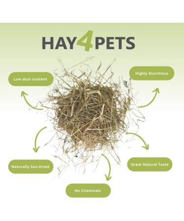 Hay4Pets Timothy Hay- 12.6kg. Fresh Green Stem Feeding Hay For Rabbit Guinea Pig Hamster & Small Animals. High Fibre Natural Food For Pets. Dried Grass Animal Feed 12.6 kg (Pack of 1) - Buy Online on GoSupps.com