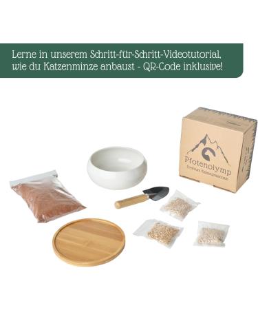 Pfotolymp Cat Grass Bowl Set - Ceramic Bowl Bamboo Coating Coconut Seeds & Tools for Healthy Cat Greens | International Shipping - Buy Online on GoSupps.com