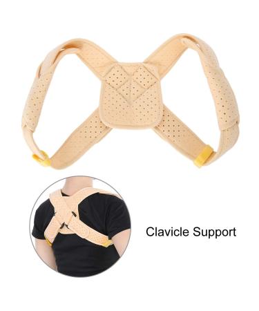 FILFEEL Posture Corrector for Men & Women | Clavicle & Shoulder Support | Relieve Pain & Improve Posture | Upper Back Brace (L - Buy Online on GoSupps.com