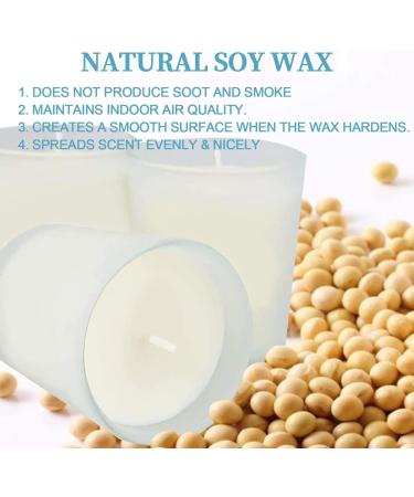 Soy Wax 10lb with 200 Pre-Waxed Wicks & Candle Making Supplies - Buy Online on GoSupps.com