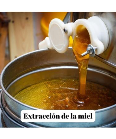 L'Abella Mel - Flower Honey - Natural Honey Harvested in Spain (2kg) - Buy Online on GoSupps.com