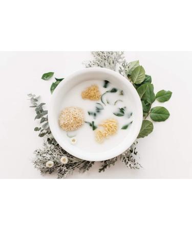 Kyte BABY Natural Sea Sponge 4-5 Inches | Gentle and Eco-Friendly Bath Sponge - Buy Online on GoSupps.com