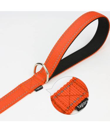 Taglory Lightweight Reflective Dog Leash for Small Dogs | Padded Handle | 1.2m x 2cm | Up to 10kg | Orange - Perfect for Safe Walks - Buy Online on GoSupps.com