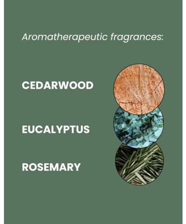 ManCave Aloe & Pine Shower Gel 500ml for Men | Sensitive Skin | Sulphate-Free & Vegan | Recycled Tube | Made in England - Buy Online on GoSupps.com