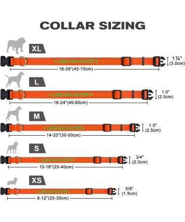 Buy Tagme Personalized Reflective Dog Collar for Small Dogs - Embroidered with Pet Name & Phone Number Orange XS (1 Pack) - Perfect for Safety & Style - Buy Online on GoSupps.com