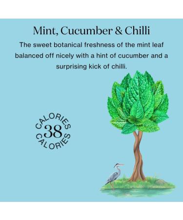  Nuisance Nuisance Wild Nettle Sparkling Water and Premium Mixer | Low Calorie | 12 x 250ml Cans - Buy Online on GoSupps.com