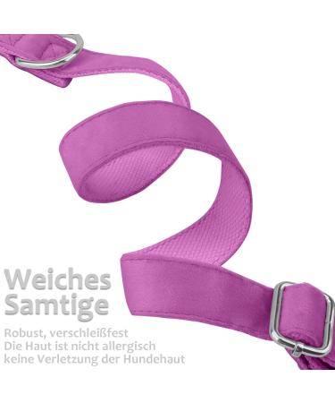 Shop Asvin Velvety Dog Collar - Soft Comfortable & Removable | Multi-Colored for Weddings Birthdays & Parties | International Shipping Available - Buy Online on GoSupps.com