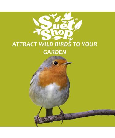 The Suet Shop 80g x 50 Standard Suet Fat Balls - High Energy & Protein for Wild Birds - Buy Online on GoSupps.com