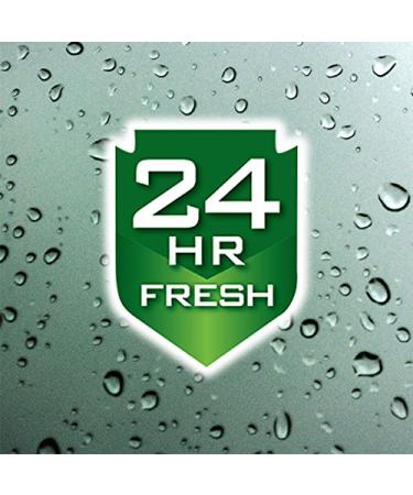 Irish Spring Body Wash Original 18 Fl Oz (Pack of 6) - Buy in Bulk and Save - Buy Online on GoSupps.com