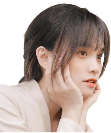 Bangs Hair Clip Air Bangs Wig For Women With Natural Front Forehead Invisible Hair Patch Round Face French Bangs Fake Bangs Bangs Clip in Hair(Color:Light Brown) - Buy Online on GoSupps.com