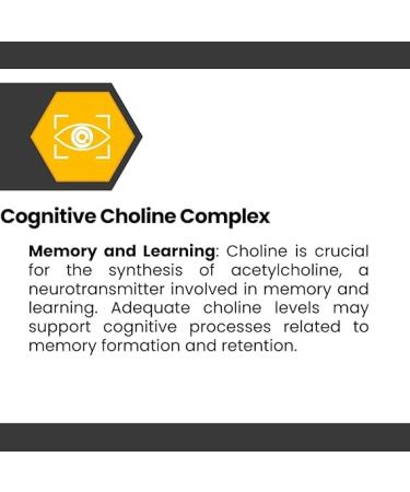 Cognisync Nootropic Brain Health Supplement 60ct | Cognitive Enhancement with Lion's Mane & Alpha-GPC | Memory & Brain Fog Support | 12 Powerful Ingredients - Buy Online on GoSupps.com