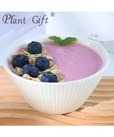 Plant Gift 100% Pure Purple Kale Powder Poudre naturelle de chou pourpre id ale pour les boissons avec saveur et saveur de poudre non g n tiquement modifi e 100g / 3.25oz - Buy Online on GoSupps.com