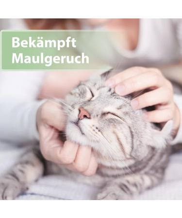 Felisept Dental Care Finger Pads for Cats - 50 Count | Effective Oral Hygiene Fresh Breath & Plaque Reduction - Buy Online on GoSupps.com