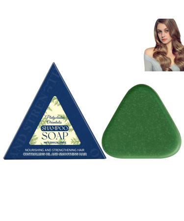 homomdy Platycladus Orientalis - Natural Oil-Regulating Shampoo - Nourishing and Soothing - Cleanses and Strengthens Hair - For Men and Women