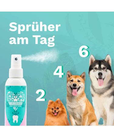 Animal Lover Dental Spray for Dogs & Cats - Natural Tartar Removal & Fresh Breath - No Brush Tooth Cleaning (150 ml) - Buy Online on GoSupps.com