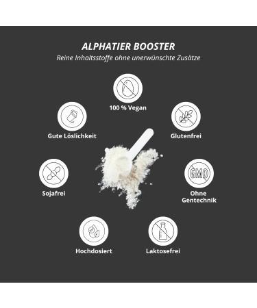 Alpha Beast Shake Pre-Workout Booster - Vegan High-Dose Formula with Kaffein Citrullin L-Arginine & More - Grapefruit Flavor - 400g - International Shipping - Buy Online on GoSupps.com