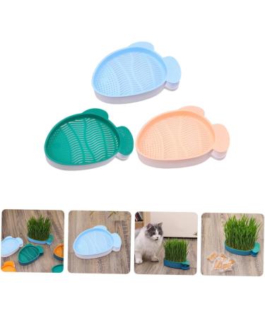 Buy Buguuyo 3 Series Cat Grass Box with Catnip - Perfect Plastic Plant Planters for Pets - Buy Online on GoSupps.com