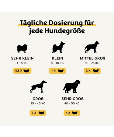 Pawital Belly Champ - Natural Dog Treats with Wild Salmon | Probiotics for Digestive Health & Immunity | 30 Premium Snacks - Buy Online on GoSupps.com