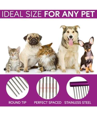 10-Inch Pet Comb with Rounded Stainless Steel Teeth for Comfortable Grooming - Purple - Buy Online on GoSupps.com