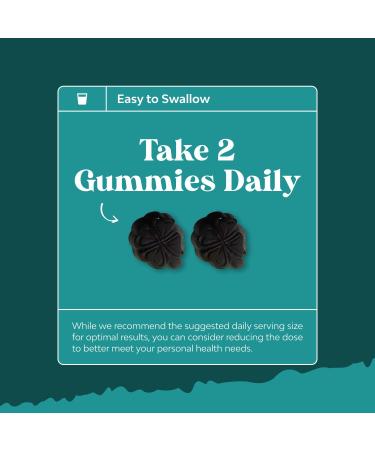 Bundle of Liver Support NAC - N Acetyl Cysteine with Antioxidants Turmeric Choline Dandelion & L-Glutathione and Chlorophyll Gummies - Internal Deodorizer for Body Odor Healthy Skin Digestive Support - Buy Online on GoSupps.com