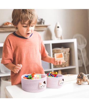 LixinJu Small Woven Cat Basket Set of 2 - Pink Mini Storage Bins for Desk, Toys, Gifts - Buy Online on GoSupps.com
