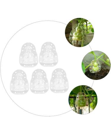 Yardenfun 5pcs Vegetable Ginseng Fruit for Garden Fruit Vegetable Small Fruit Gourd - Buy Online on GoSupps.com