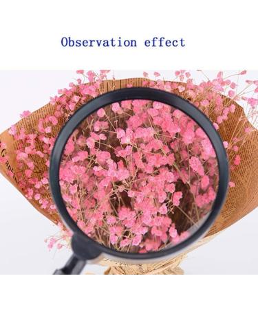 Handheld Reading Magnifier Magnifying Mirror Magnifying Glass Reading Handheld Magnifying Glass Lens High Clarity Large Portable Reading Magnifier for Books Newspapers Hobbies and Crafts - Buy Online on GoSupps.com