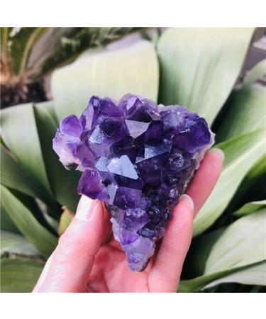 Natural Dream Amethyst Quartz Cluster SpecimenCan be Used for (Color : 70-80g Size : 1pc) HOMEZHOU (Color : 70-80g Size : 3pc) 3pc 70-80g - Buy Online on GoSupps.com