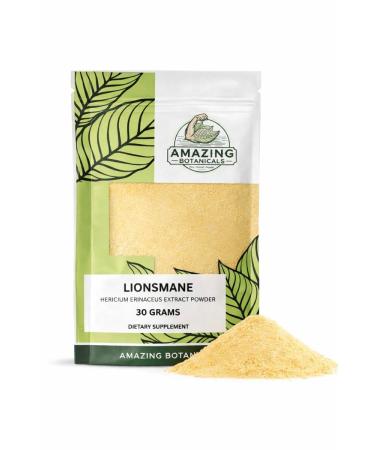 Amazing Botanicals Premium Lion s Mane Extract Powder | Hericium erinaceus | Vegan Non-GMO No Added Sugar | Mushroom Extract Powder 30 Grams